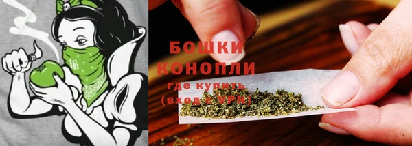 бошки Абаза