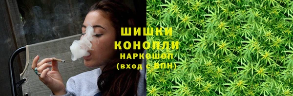 дурь Пестово