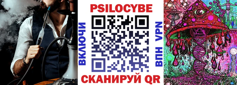 Псилоцибиновые грибы Psilocybine cubensis  купить наркоту  Гусиноозёрск 