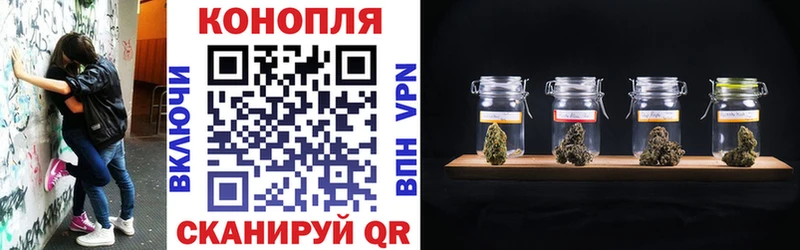 Канабис индика  Гусиноозёрск 